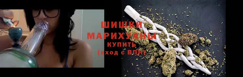 где купить наркотик  Губаха  Шишки марихуана White Widow 